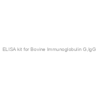 ELISA kit for Bovine Immunoglobulin G,IgG
